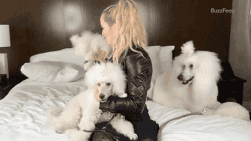 A GIF of Kathryn Newton playing with her dogs