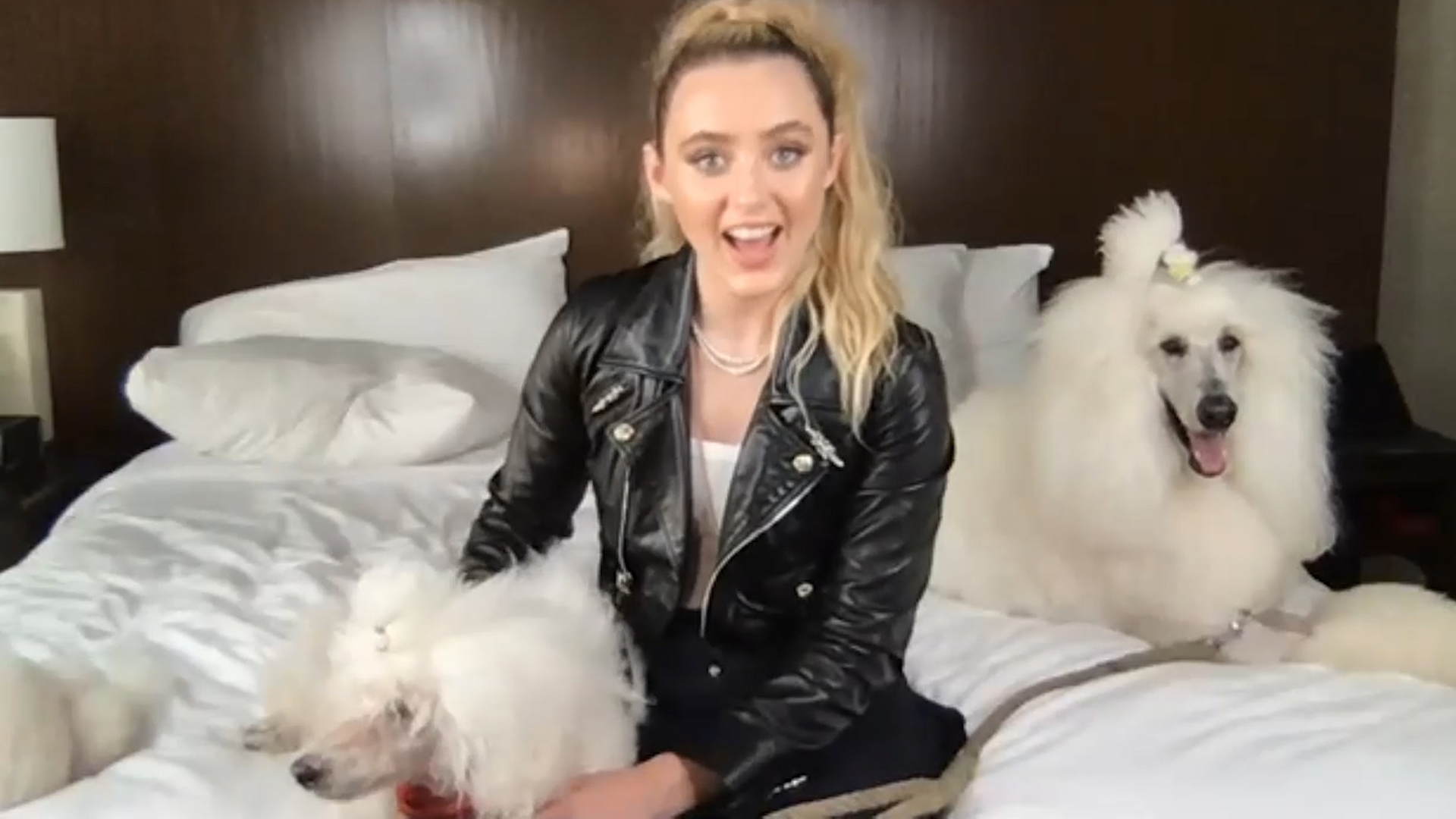 Kathryn Newton Talks Freaky And The Society With Dogs photo