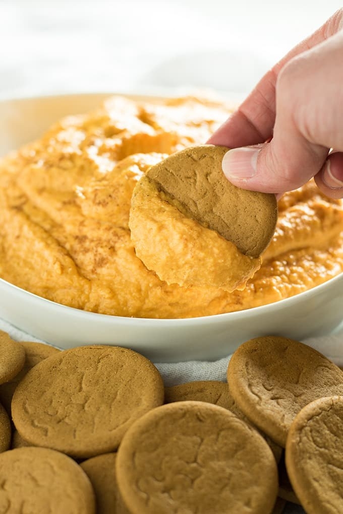 Dipping a cookie into a bowl of pumpkin cheesecake dip.