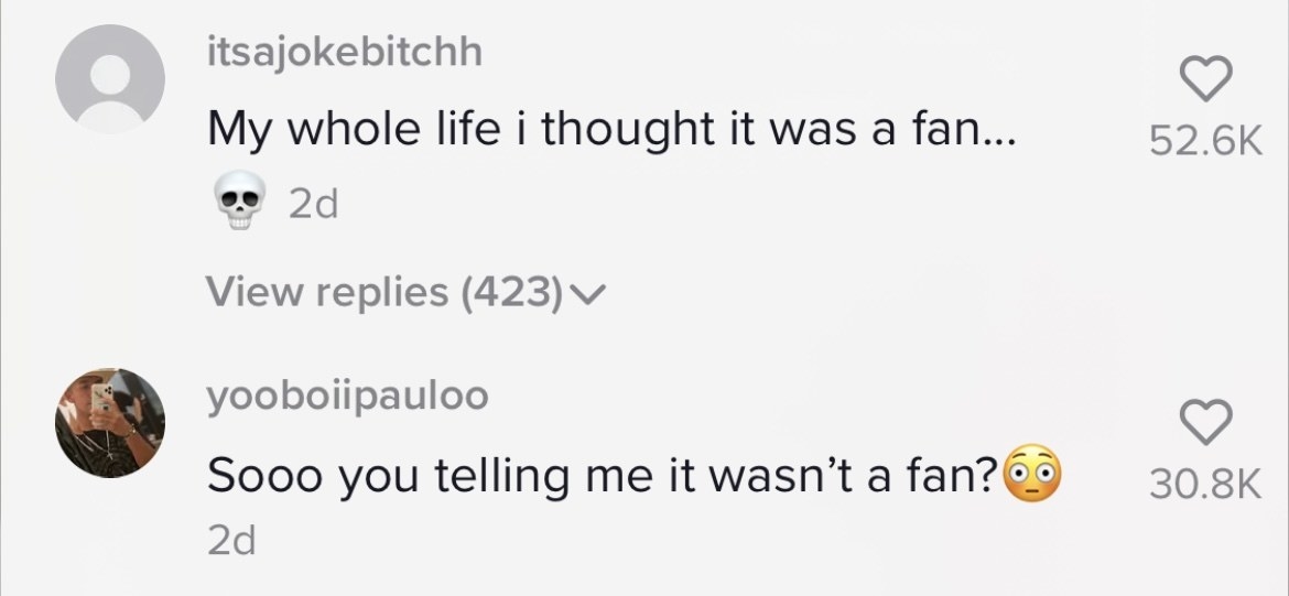 Two comments on TikTok saying they thought it was a fan this whole time