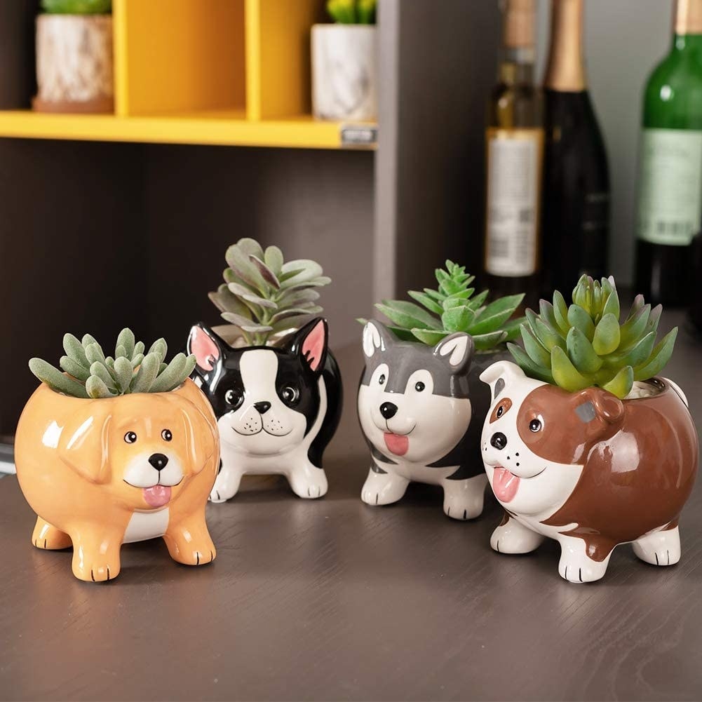 The rounded planters shaped like a Golden Retriever, Boston Terrier, Husky, and Bulldog, each holding a small succulent