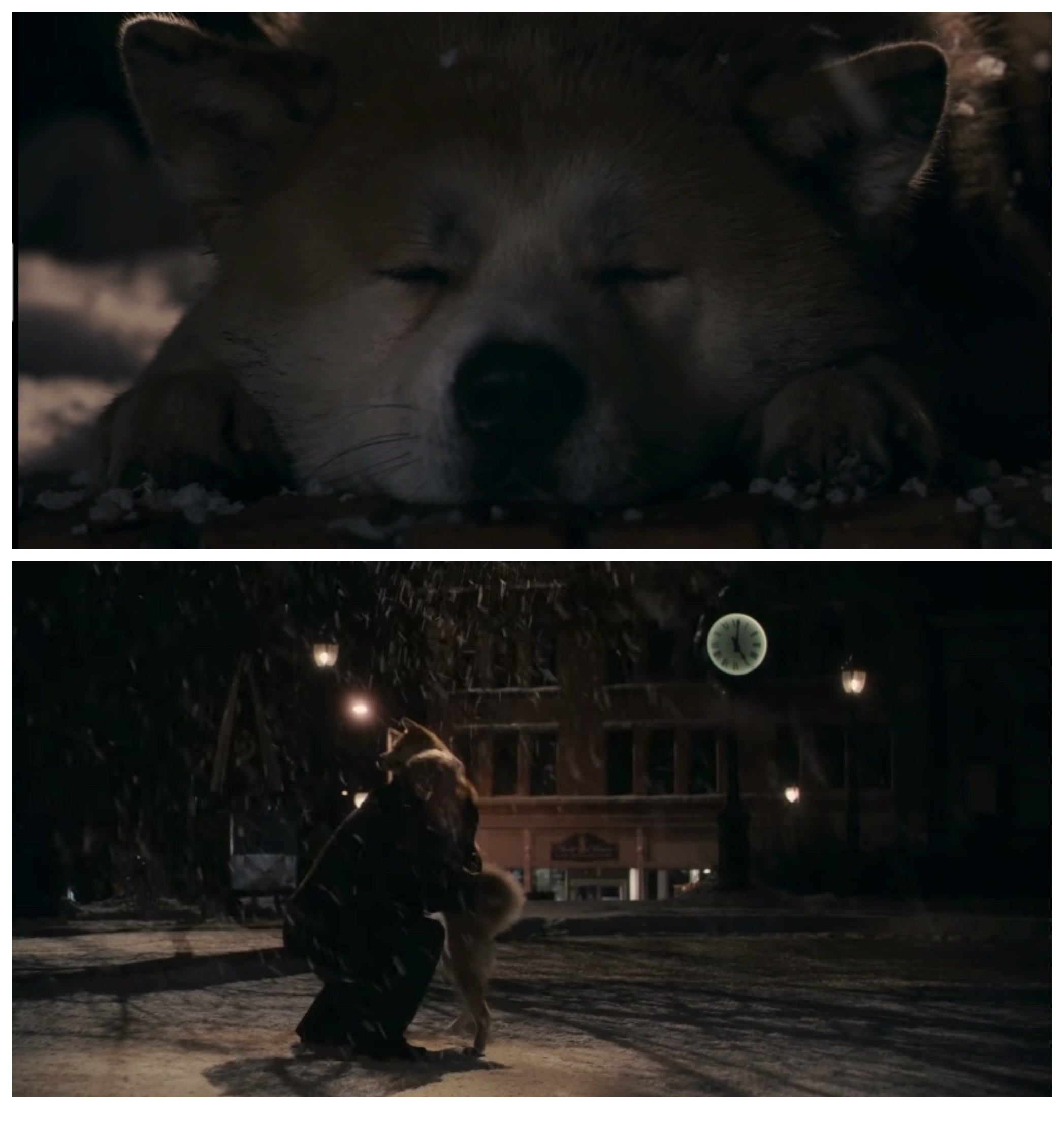 A collage of Haichi laying down in the snow with his eyes closed and him jumping into the arms of Parker