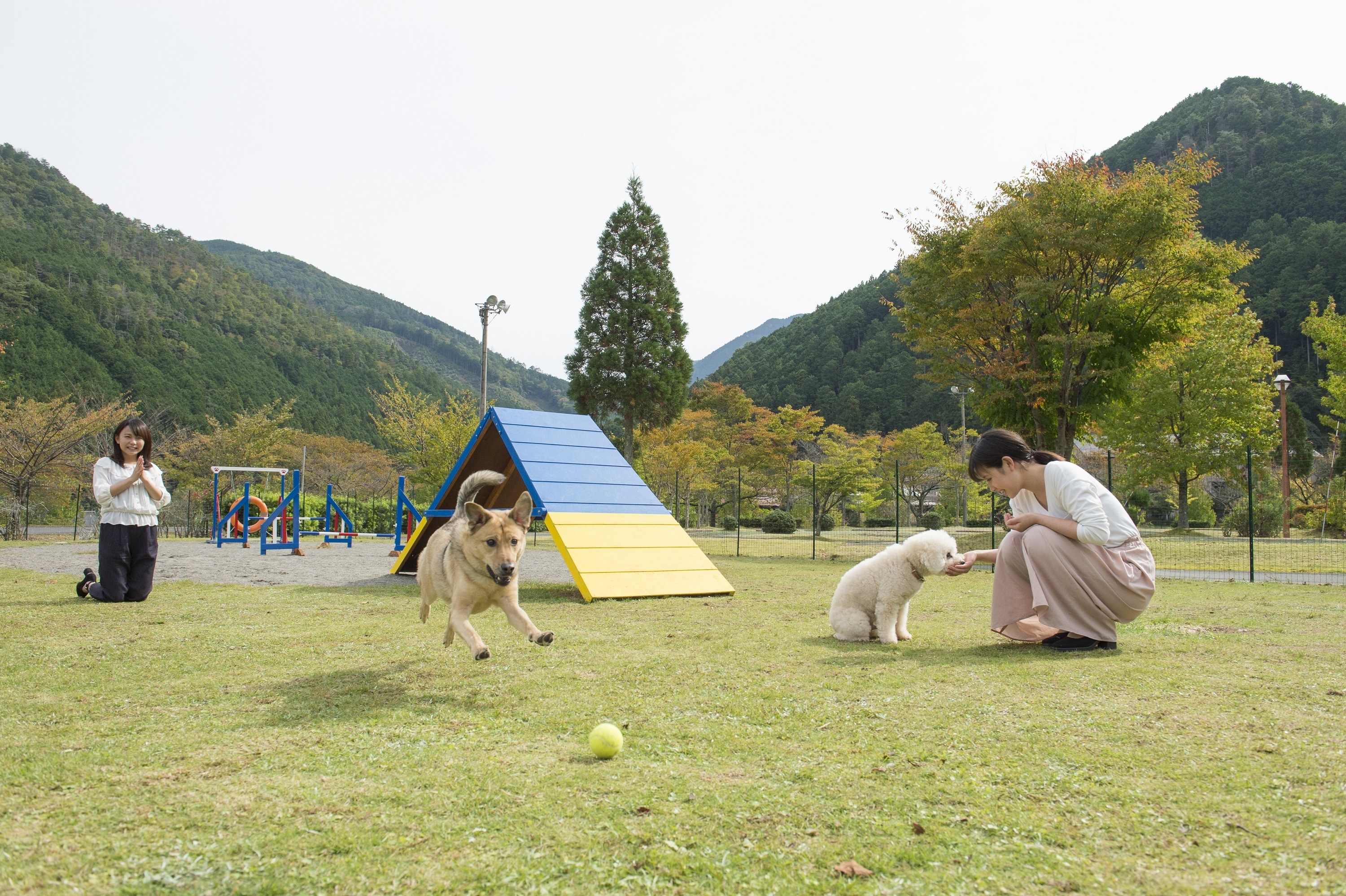 関西 年版 ペットと泊まれる宿まとめ