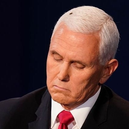 A fly landed on Mike Pence&#x27;s head during the 2020 Vice Presidential Debate