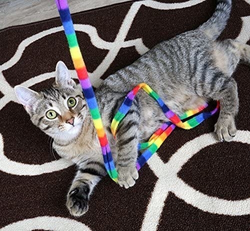 A gray striped cat playing with a fleece rainbow string toy