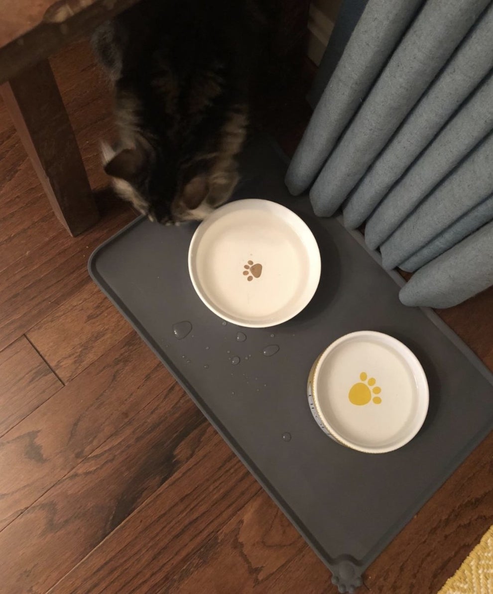 24 Best Gifts For Cats On Amazon