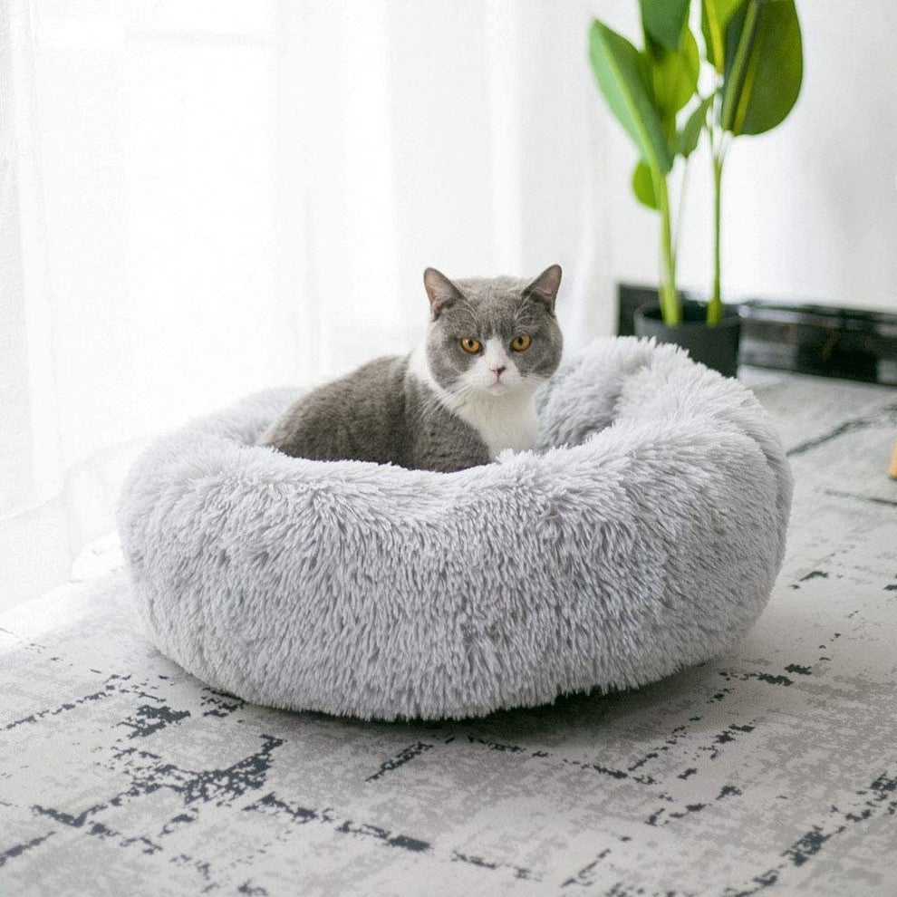 24 Best Gifts For Cats On Amazon