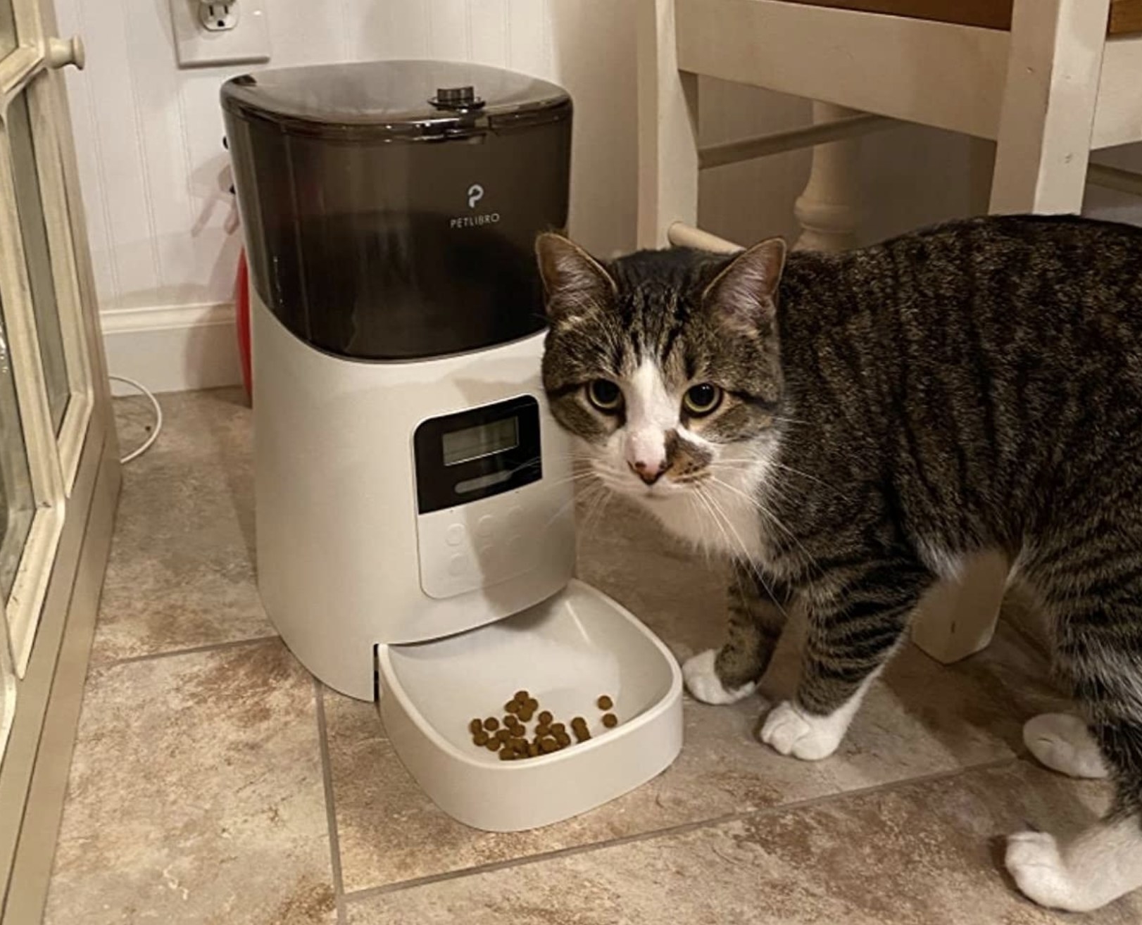 a striped cat eating kibble out of a white and grey automatic food dispenser