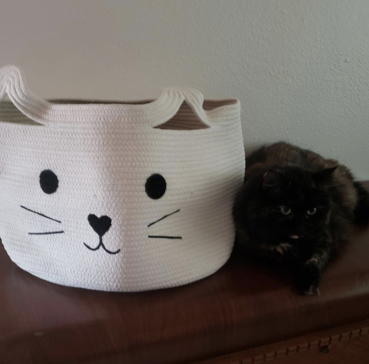 a brown and black cat sitting next to a white woven basket with a cat design stitched on
