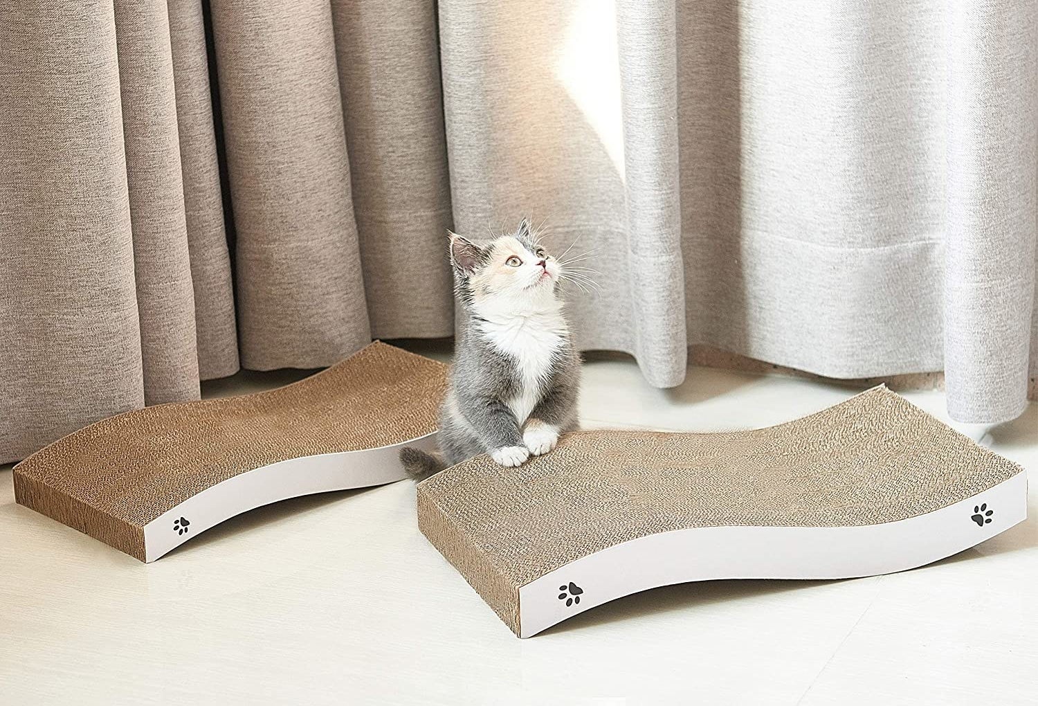 a kitten sitting in between two wavy cardboard scratch pads