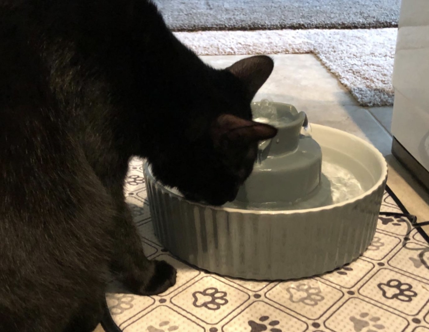 a black cat drinking out of a grey and white porcelain water fountain