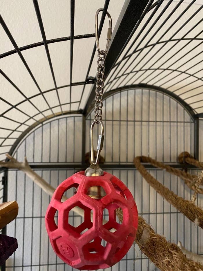 The hol-ee roller bird toy in red with a metal chain