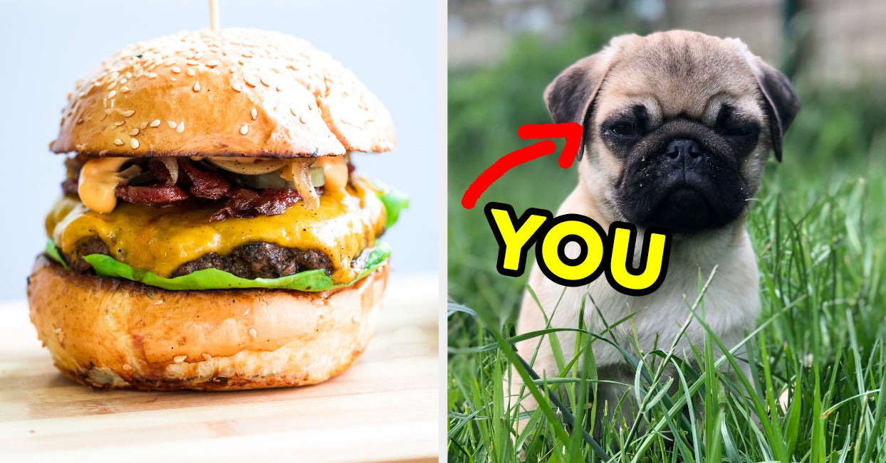 Which Dog Breed Are You Based On Cheesy Food Quiz