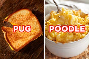 On the left, a grilled cheese sandwich cut in half labeled "pug," and on the right, a bowl of mac 'n' cheese labeled "poodle"