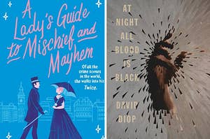 A Lady's Guide to Mischief and Mayhem book cover / At Night All Blood Is Black book cover