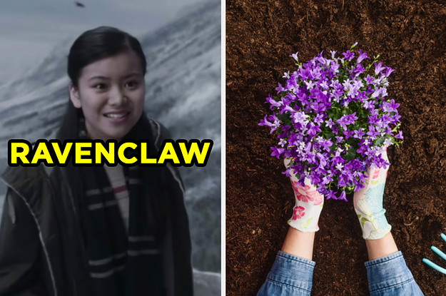 On the left, Cho Chang from