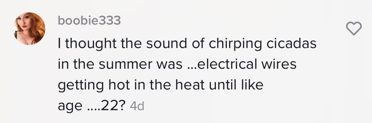 &quot;I thought the sound of chirping cicadas in the summer was...electrical wired getting hot in the heat until like age....22&quot;