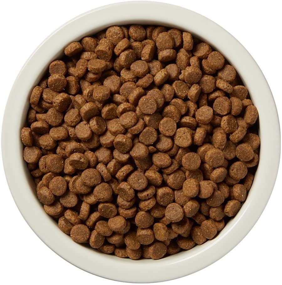 Bowl of dog food