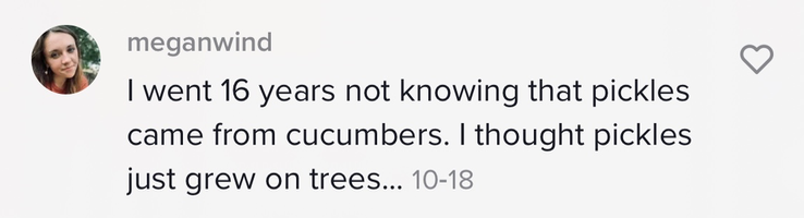 Person says, &quot;I went 16 years not knowing that pickles came from cucumbers&quot;