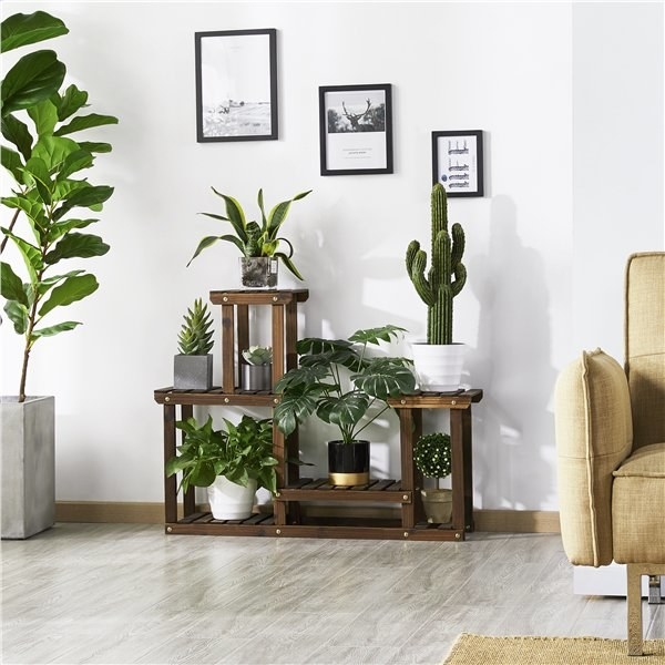 The stand filled with plants in front of a wall