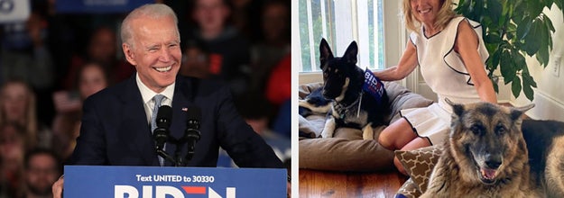 保護犬が ファーストドッグ に Snsでファンアカウントが開設される人気ぶり 保護犬が ファーストドッグ に Snsでファンアカウントが開設される人気ぶり