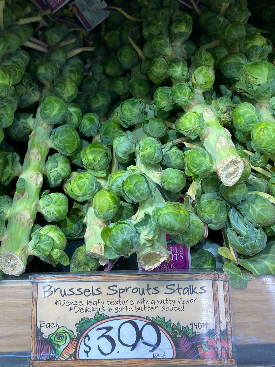 A handful of Brussels sprouts stalks.