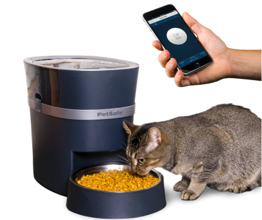 Cat eating food out of dish dispenser alongside owner pulling up app on their phone