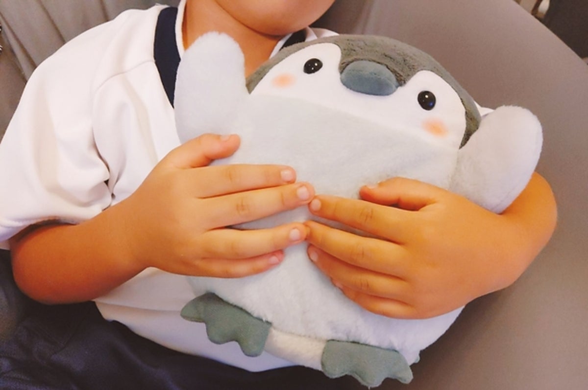 このぬいぐるみスゴすぎ かわいくて 喋れて 褒めてくれるなんて
