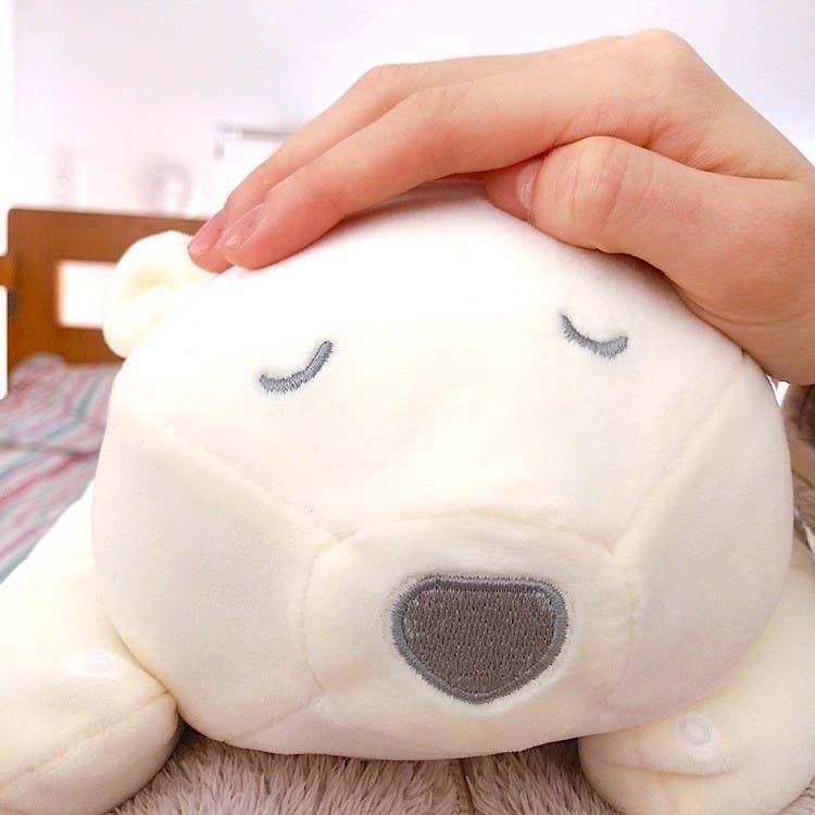 気付いたら寝落ち この シロクマさん ただのぬいぐるみじゃない