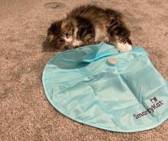 kitten peeking under a blue mat to find the wand