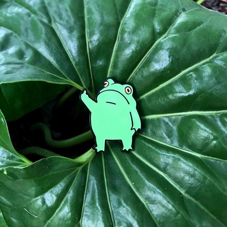 a little green frog pin that&#x27;s giving the middle finger