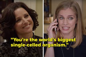 "You're the world's biggest single-celled organism" over "Veep" characters Selina and Amy