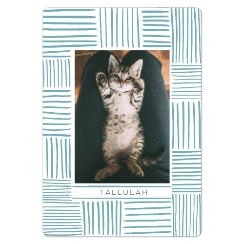 a rectangular magnet with a blue line design around the edges and a photo of a cat in the middle