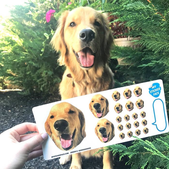 A sticker sheet with a golden retriever&#x27;s face on it