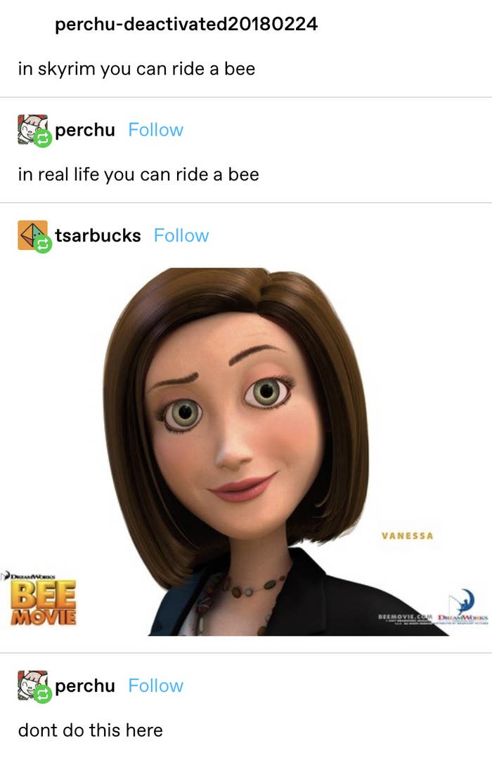 a post that says &quot;In Skyrim you can ride a bee&quot; with someone replying you can ride a bee in real life, too. Someone replies with a photo of Vanessa from Bee Movie and then someone says &quot;don&#x27;t do this here&quot;