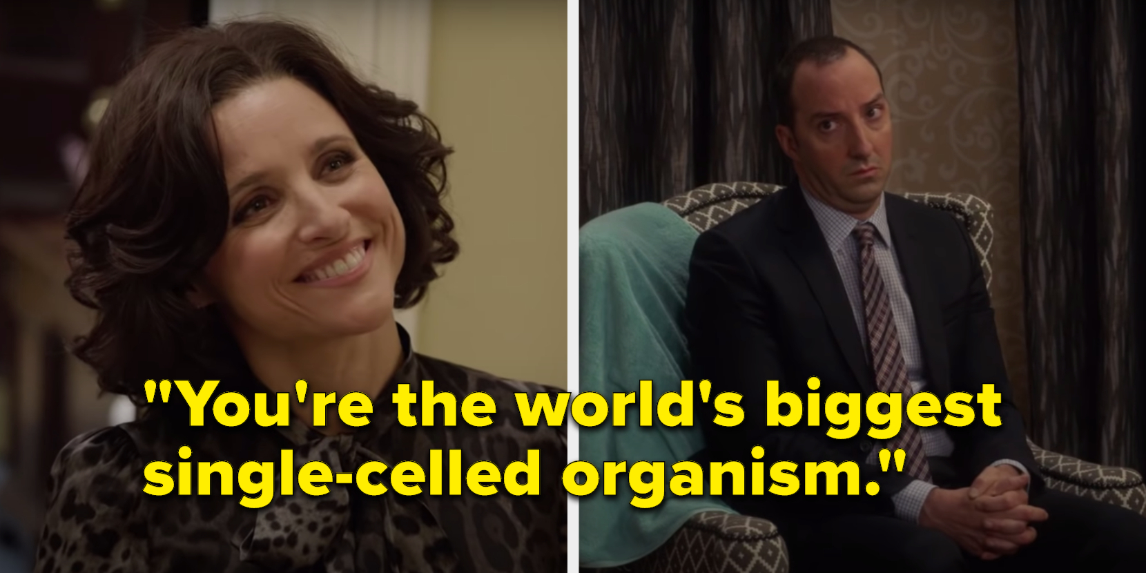 Who Said These \, image size:1660x830