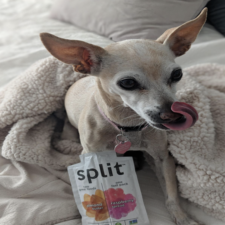 A reviewer's dog enjoying the snack