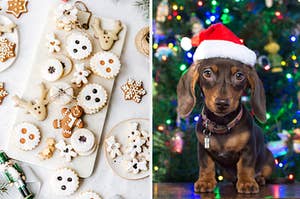 An assortment of Christmas cookies are on the left with a dog in a Santa hat