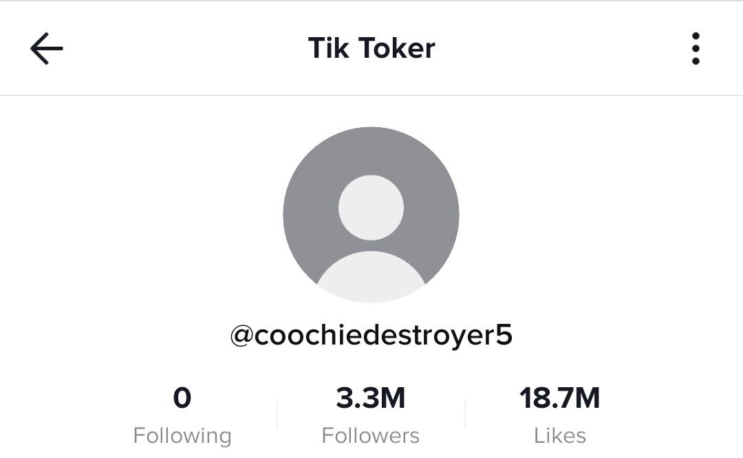 Billie&#x27;s profile page on TikTok, with no profile photo but a ton of followers and a hilarious username