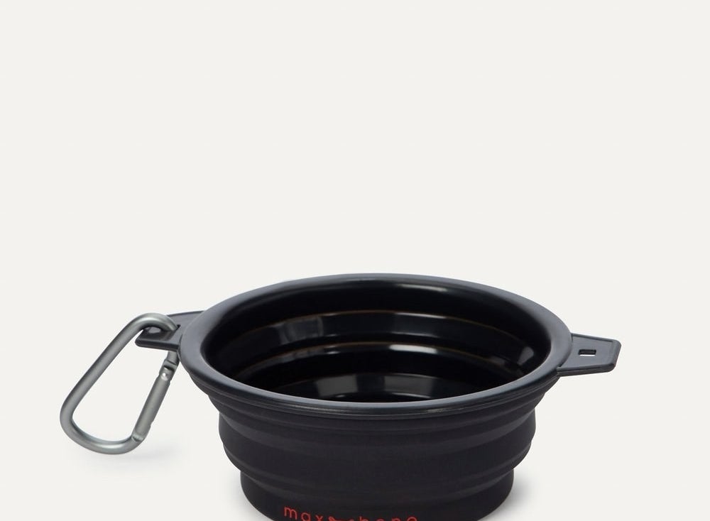 Travel dog bowl with key chain attachment 