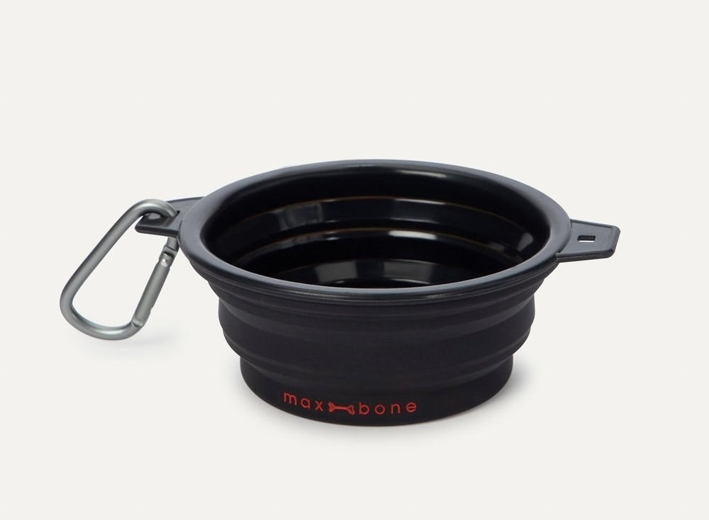 Travel dog bowl with key chain attachment 