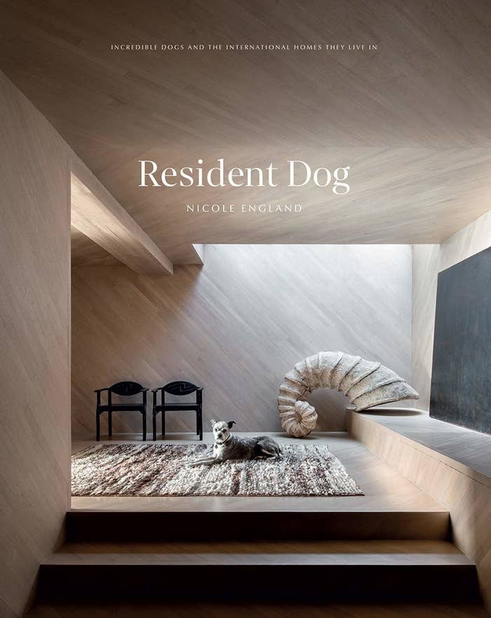 &quot;Resident Dog&quot; book cover 