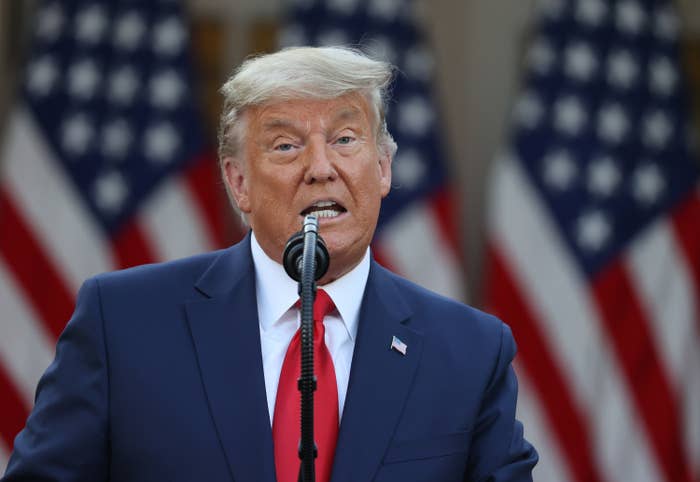 Trump speaking at a microphone in front of US flags.