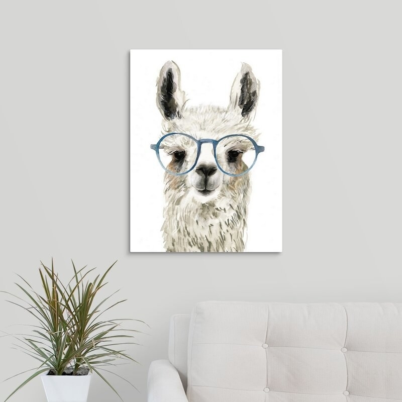 llama with glasses print hung on a wall