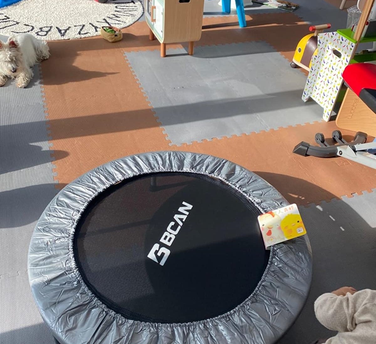 Reviewer pic of the circular trampoline in black with a silver cover around the outside
