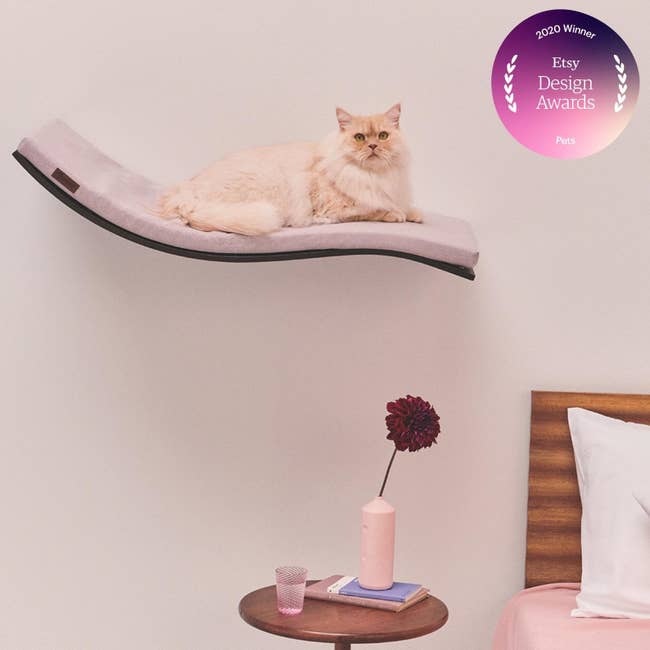 a cat on the curved wall-mounted bed 