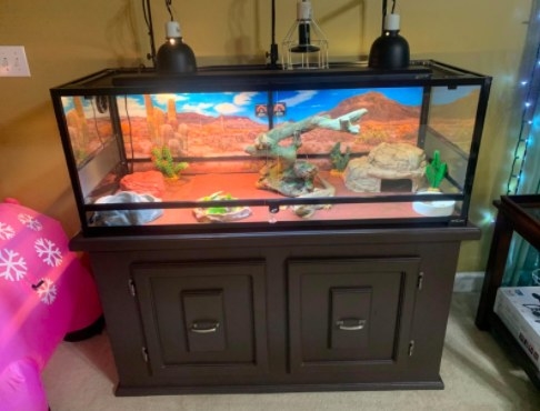 Pet Reptile Terrarium Fish Tank litter Poop Clear Cleaning Tool Tongs W 