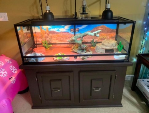 wire screen snake tank top for wooden enclosure