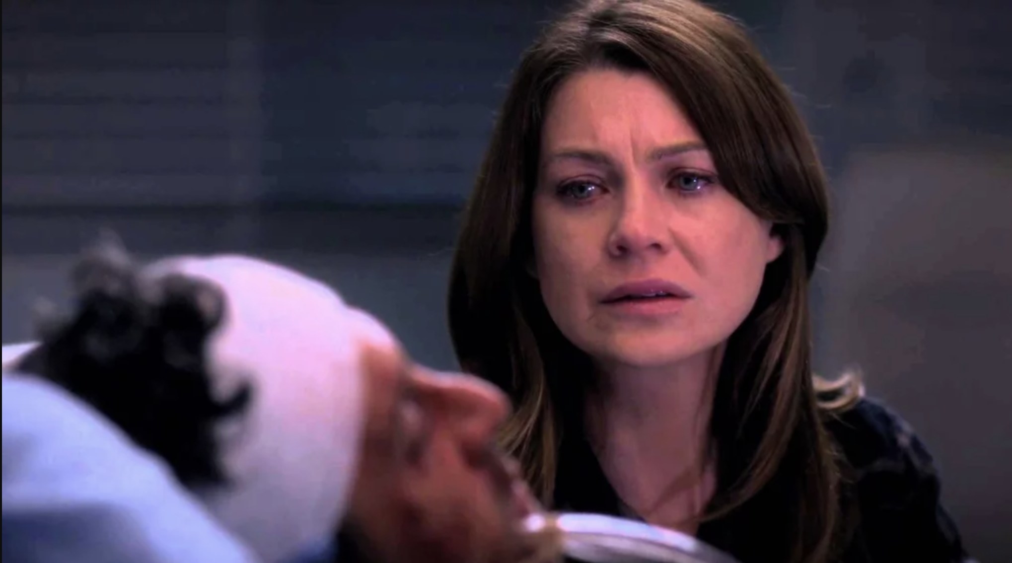 Meredith saying goodbye to Derek before she has them unplug him. 