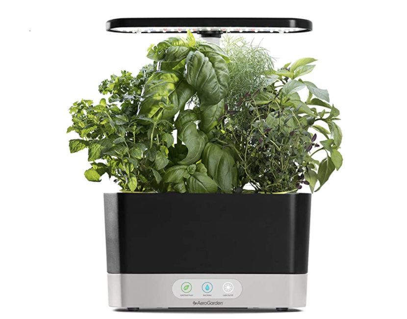 Black and white AeroGarden with leafy herbs growing on top